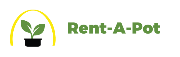 Rent a pot